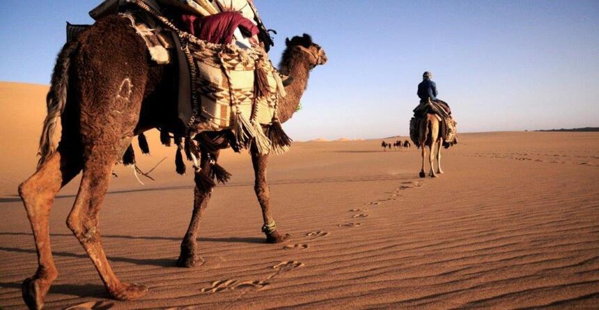 Beim Kamelreiten trägt das Kamel das Frauengepäck. Bild: WomenFairTravel Beim Kamelreiten trägt das Kamel das Frauengepäck. Bild: WomenFairTravel