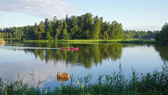 Frauenreise Finnland_c_Martti Salmi via Unsplash Frauenreise Finnland_c_Martti Salmi via Unsplash