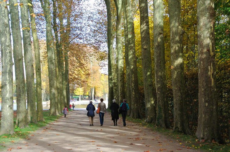 Versailles im Herbst