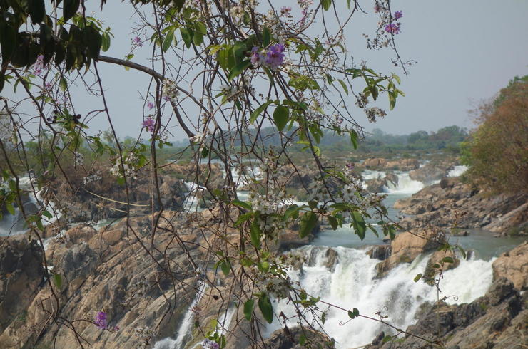 Wasserfall Li Phi des Mekong