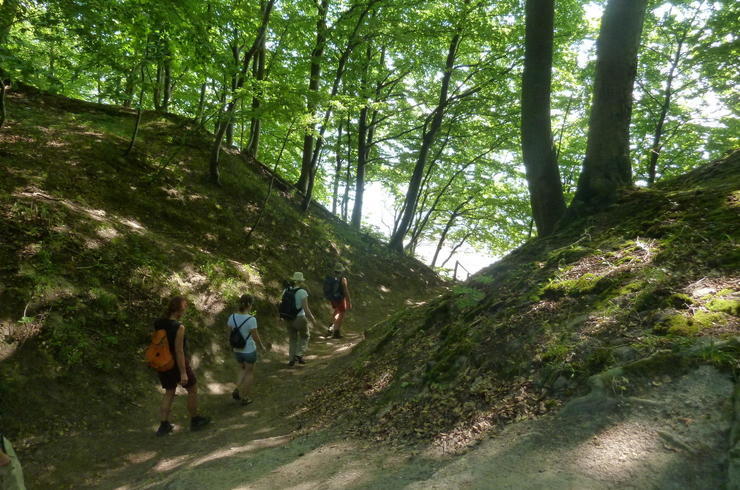 Frauen wandern durch den Wald auf Rügen