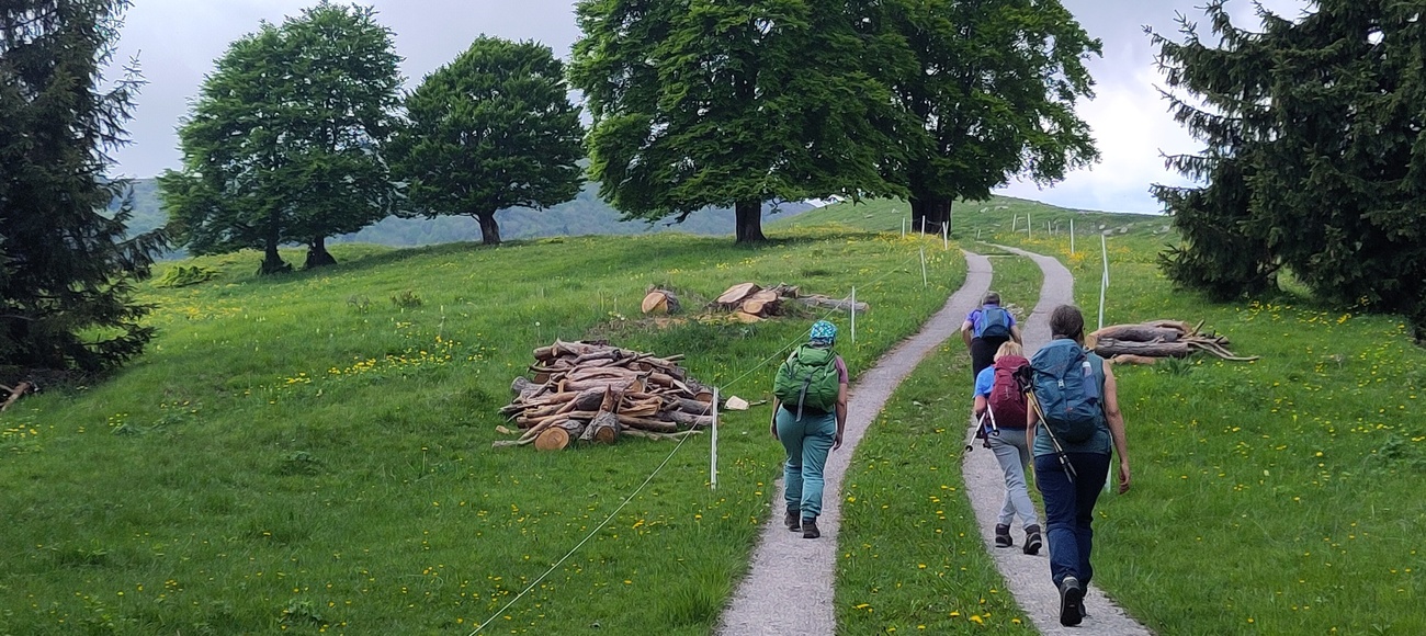 Wandernde Frauen, Bild: WomenFairTravel