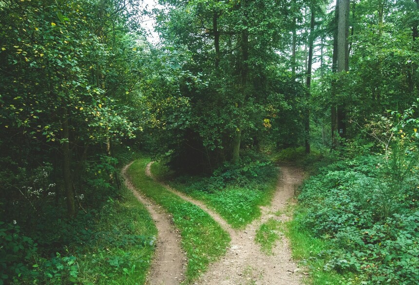 Waldweg; Bild: Jens Lelie via unsplash