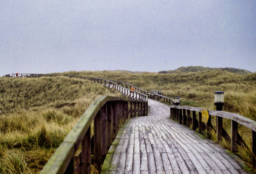 Bild: Eva Piermario via unsplash