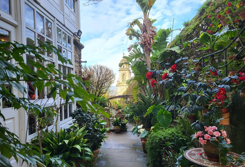 Hotelgarten; Bild: Judith Zaremba