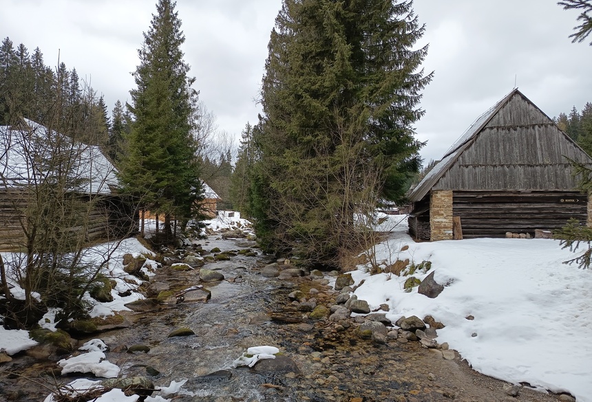 Winterwandern am Bach; Bild: Daniela Trulikova 2026