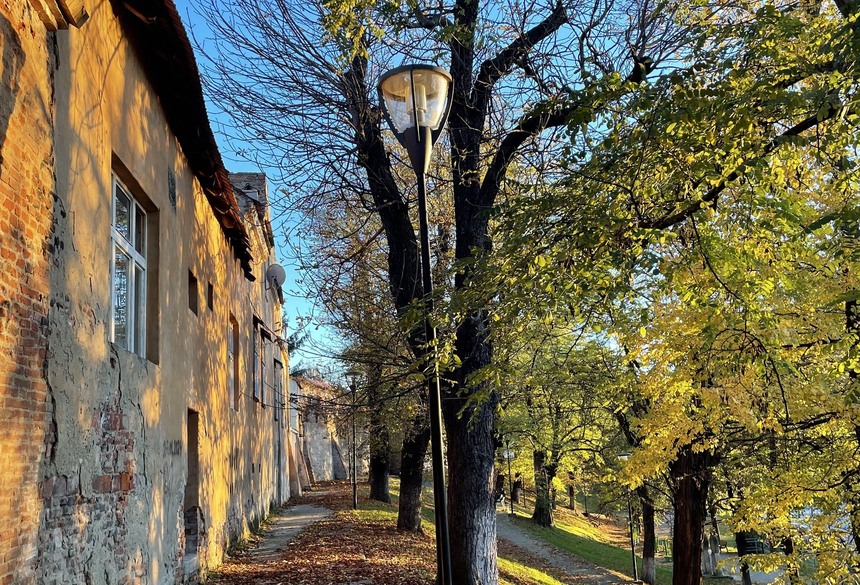 Bild: Mona Moldovan