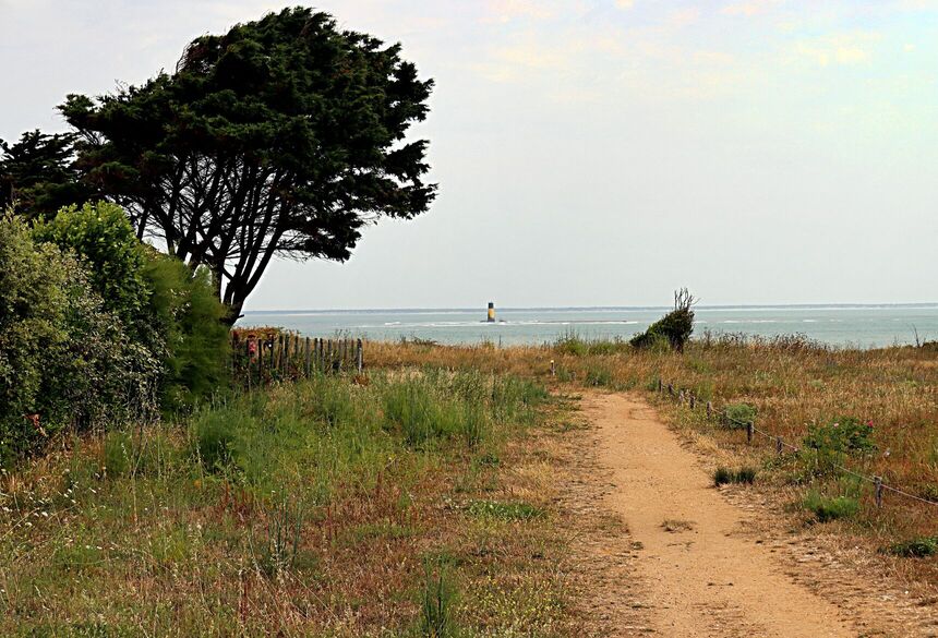 Küstenweg; Bild: Patrice Schoefolt