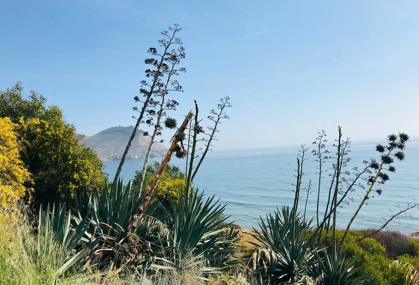 Cabo de Gata_c_Jolanda Kirpensteijn via Unsplash