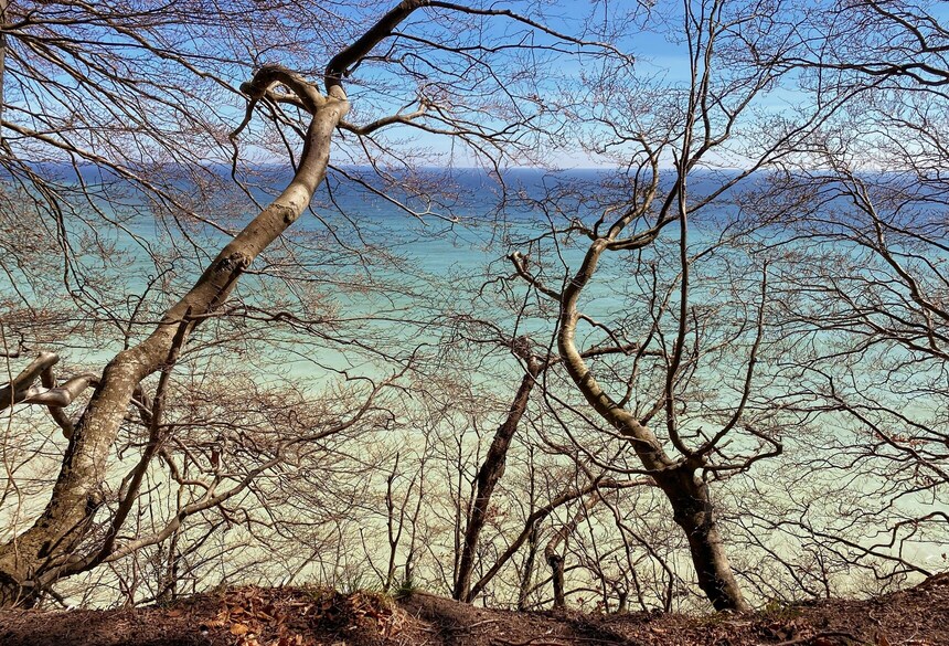 Winter_auf_Rügen_Bild: Robert Katzki via Unsplash