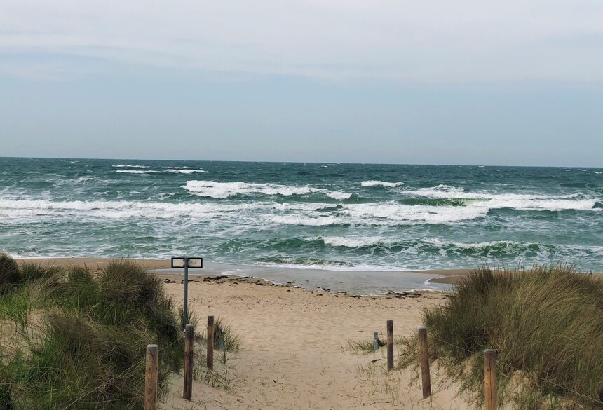 Strand_auf_Rügen_Bild: Tim Fraedrich via Unsplah