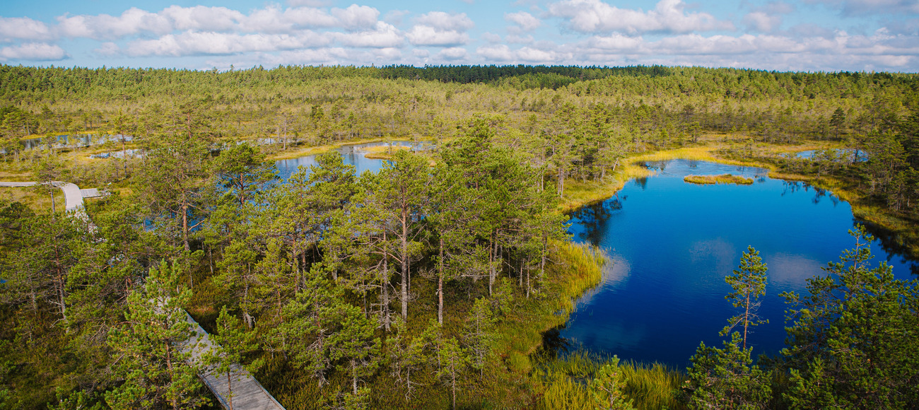Estland_Bild Ken Mürk via Brand Estonia Visit Estonia