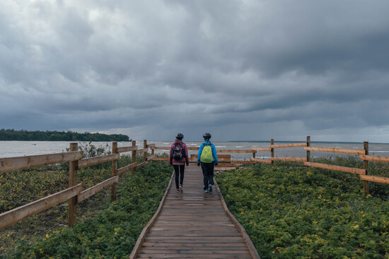 Paljassaare Trail