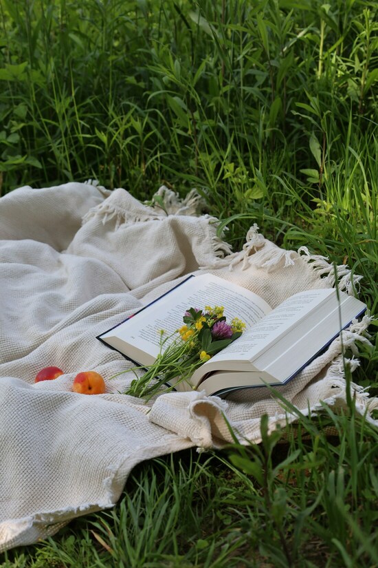 Buch im Gras, Bild: Anna Myslowska-Kiczek via unsplash Buch im Gras, Bild: Anna Myslowska-Kiczek via unsplash