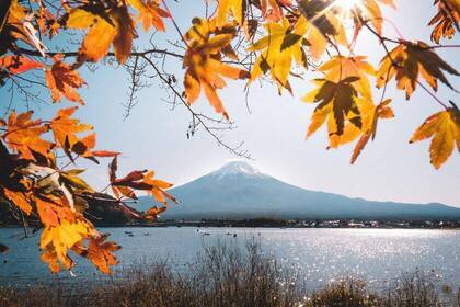 Mount Fuji mit Herbstlaub, Bild: Japanistas Mount Fuji mit Herbstlaub, Bild: Japanistas