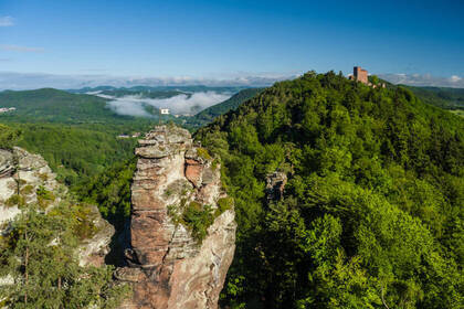 Burgenensemble im Trifelsland im Frühsommer; Bild: CC-BY-SA Pfalz Touristik, Dominik Ketz Burgenensemble im Trifelsland im Frühsommer; Bild: CC-BY-SA Pfalz Touristik, Dominik Ketz