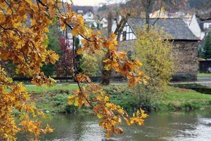 Herbststimmung Herbststimmung