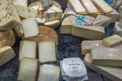 Fromage; Bild: Snap Wander via unsplash Fromage; Bild: Snap Wander via unsplash