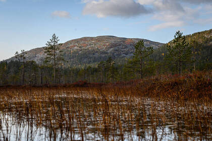 Nationalpark; Bild: FINNSPIRIT Nationalpark; Bild: FINNSPIRIT