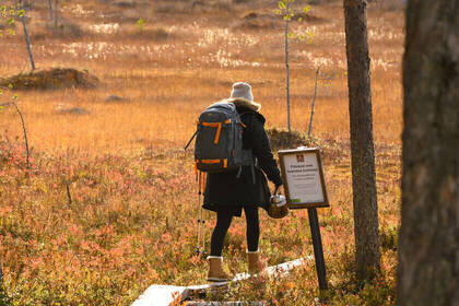 Wandern; Bild: FINNSPIRIT Wandern; Bild: FINNSPIRIT