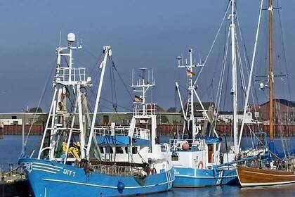 Schiffe im Hafen; Bild: Katrin Pohlmann Schiffe im Hafen; Bild: Katrin Pohlmann