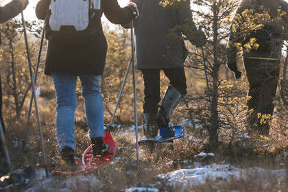 Wanderung im Moor, Bild: Andres Raudjalg via Visit Estonia