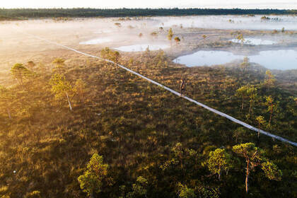 Moorwanderweg, Bild: Karl Ander Adami via Visit Estonia