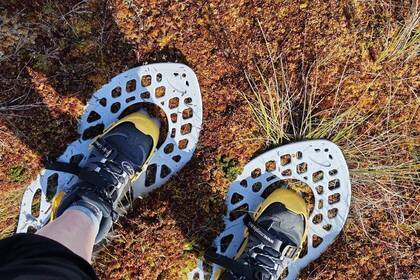 Moorwanderschuhe, Bild: Katja Tremel