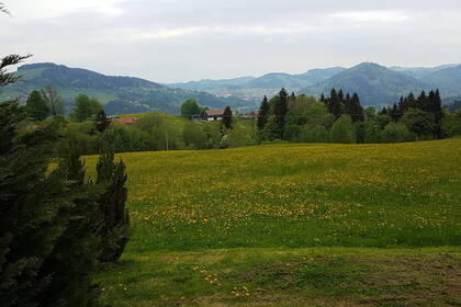 Allgäuer Landschaft; Bild: Katja Kügel Allgäuer Landschaft; Bild: Katja Kügel