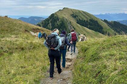 Wanderstrecke; Bild: Katja Kügel 2025