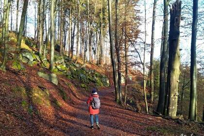 herbstliche Wanderwege; Bild: Simona Mona herbstliche Wanderwege; Bild: Simona Mona