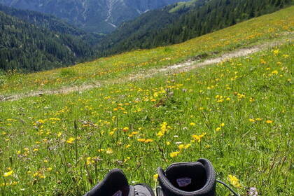 Schuhe Almwiese; Bild: Martina Mante Schuhe Almwiese; Bild: Martina Mante