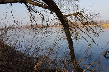 An der Havel; Bild: Lena Schumacher An der Havel; Bild: Lena Schumacher