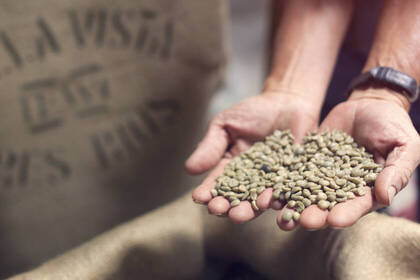 Granos de café Tres Rios San José; Bild: Costa Rica Tourism Board Granos de café Tres Rios San José; Bild: Costa Rica Tourism Board