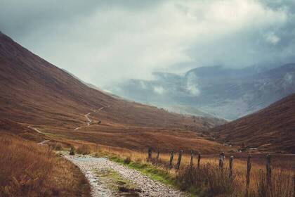 Wanderweg, Bild: Anna Saveleva via Unsplash Wanderweg, Bild: Anna Saveleva via Unsplash