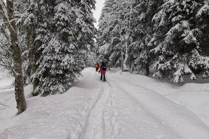 Kleinwalsertal Schneeschuhwandern, Bild: Katja Müncker 2024 Kleinwalsertal Schneeschuhwandern, Bild: Katja Müncker 2024