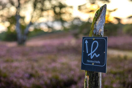 Wegweiser Heideschleife Rundwanderweg_c_Lueneburger Heide GmbH (www.lueneburger-heide.de) Wegweiser Heideschleife Rundwanderweg_c_Lueneburger Heide GmbH (www.lueneburger-heide.de)