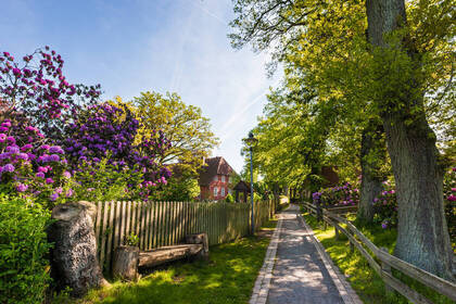 Heidschnuckenweg Mueden_c_Lueneburger Heide GmbH (www.lueneburger-heide.de) Heidschnuckenweg Mueden_c_Lueneburger Heide GmbH (www.lueneburger-heide.de)