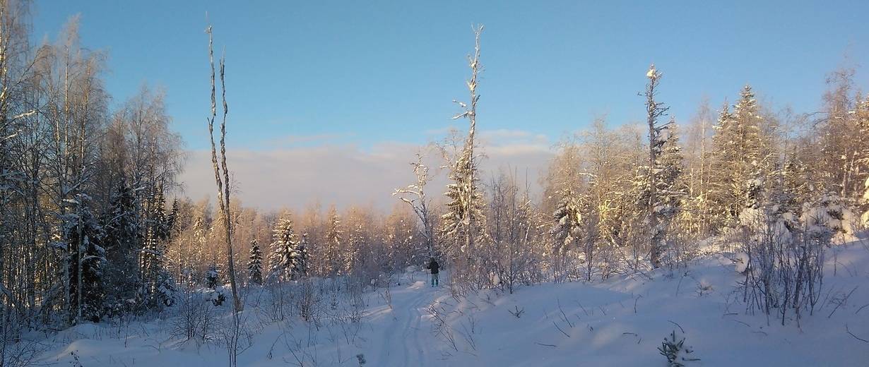 Finnische Winterlandschaft