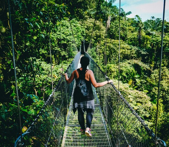 Bild: Fabio Fistarol via unsplash
