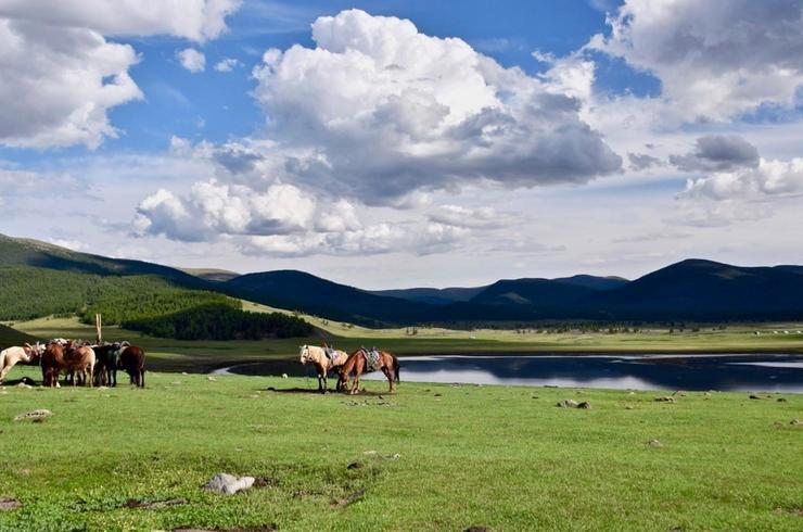 Reiten Mongolei Frauenreise