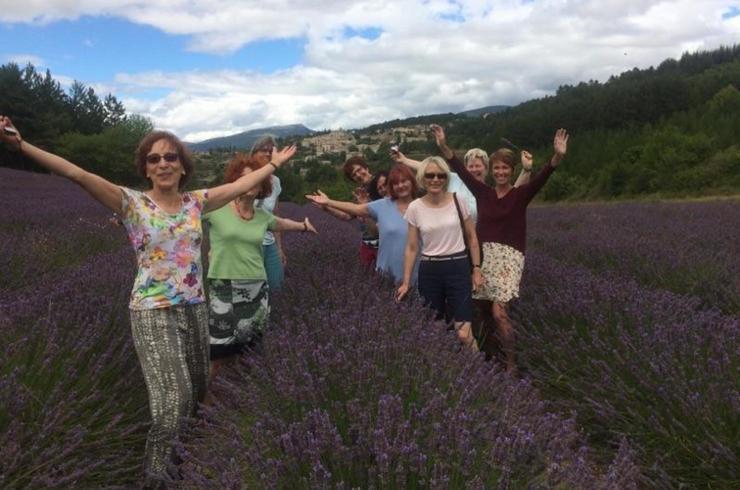 Provence Lavendel Frauenreise